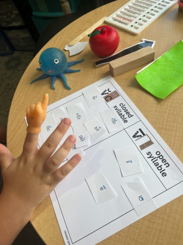 Syllable Type Games and Sorts - Image 6
